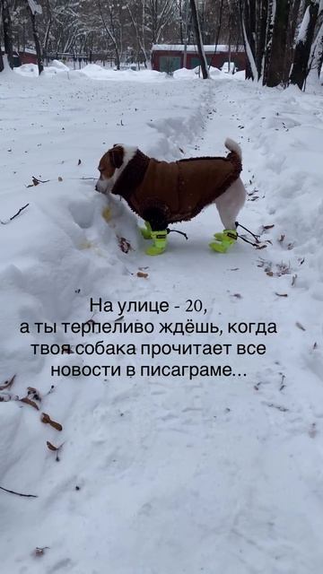У ваших тоже зависимость на эти соцсети😆?))