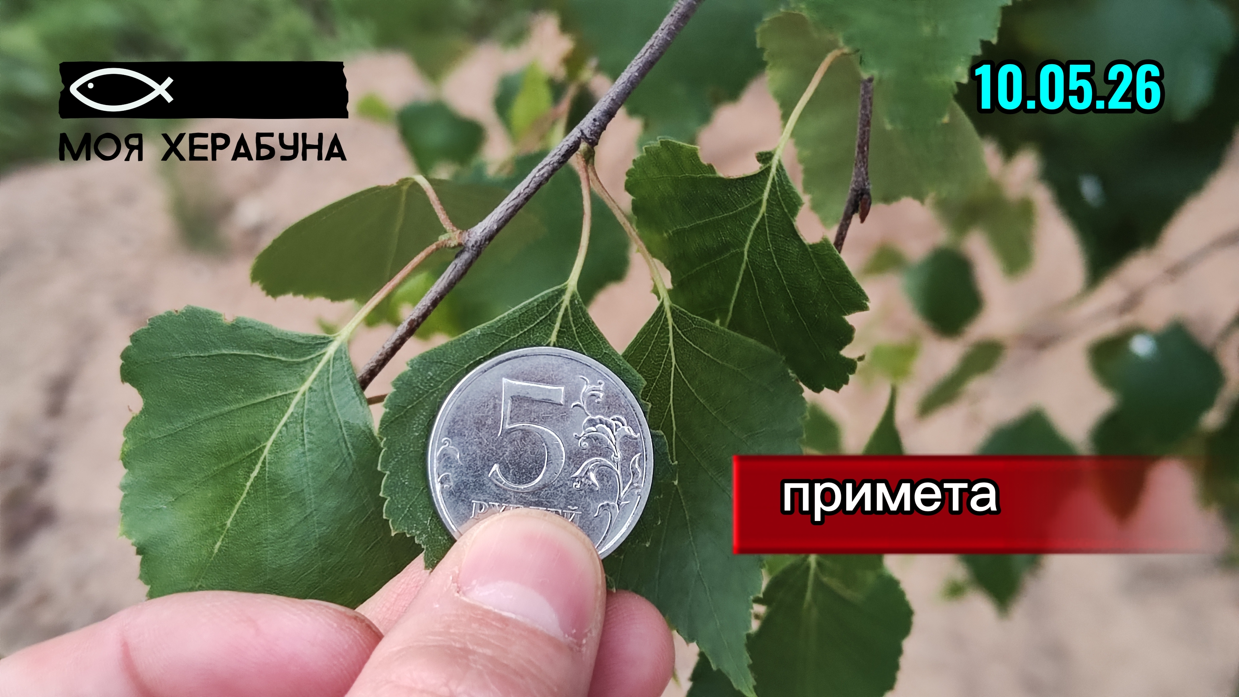 Херабуна. Карасёвая примета.