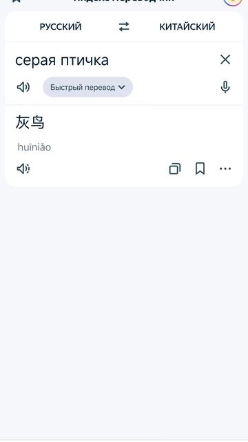 серая птичка на китайском