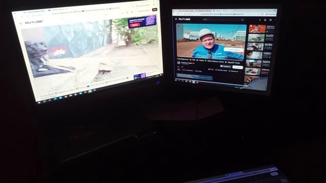 Моя Жизнь Кино  Музей Псов