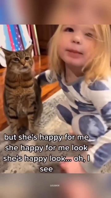 One Brain Cell Cats, Kids Vs Cats & Chubby Cat Chaos
