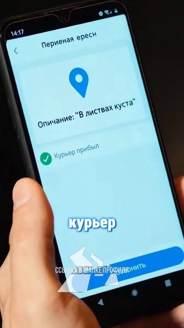 Обзор фильма Дюна 2: стоит ли смотреть? Без спойлеров