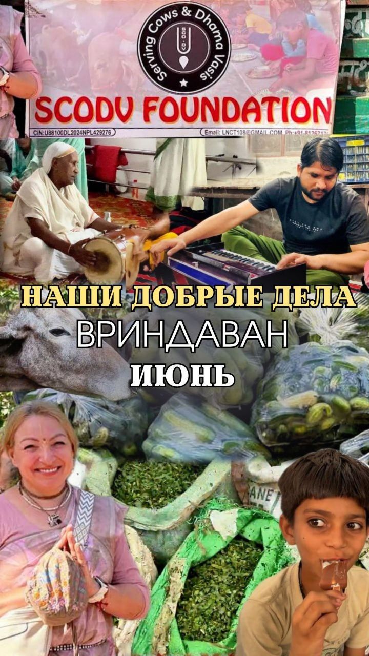 НАШИ ДОБРЫЕ ДЕЛА | Июнь