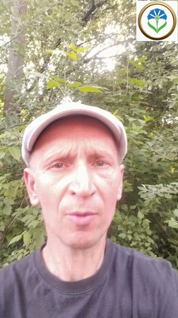 6. Это каждый из нас делает прямо сейчас! Жизнь – это выбор!!! Андрей Шевцов