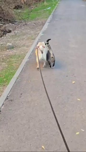 😄👍))