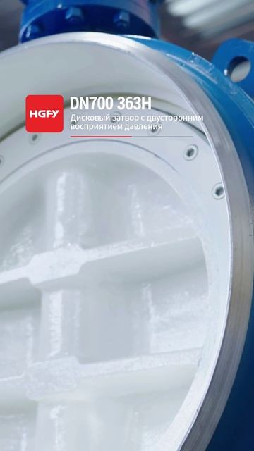 DN700 363H Дисковый затвор с двусторонним восприятием давления-HGFY