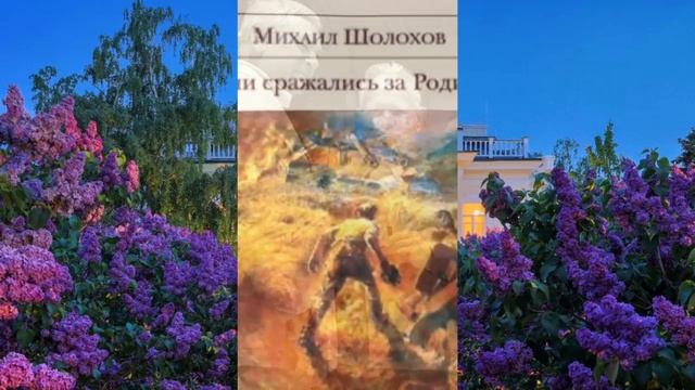 Ко дню рождения М. Шолохова