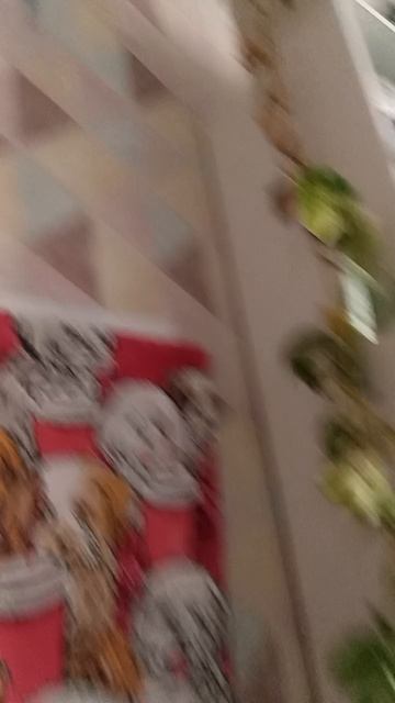 1000004416.mp4