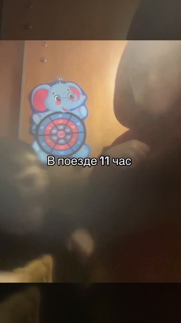 1000000287.mp4