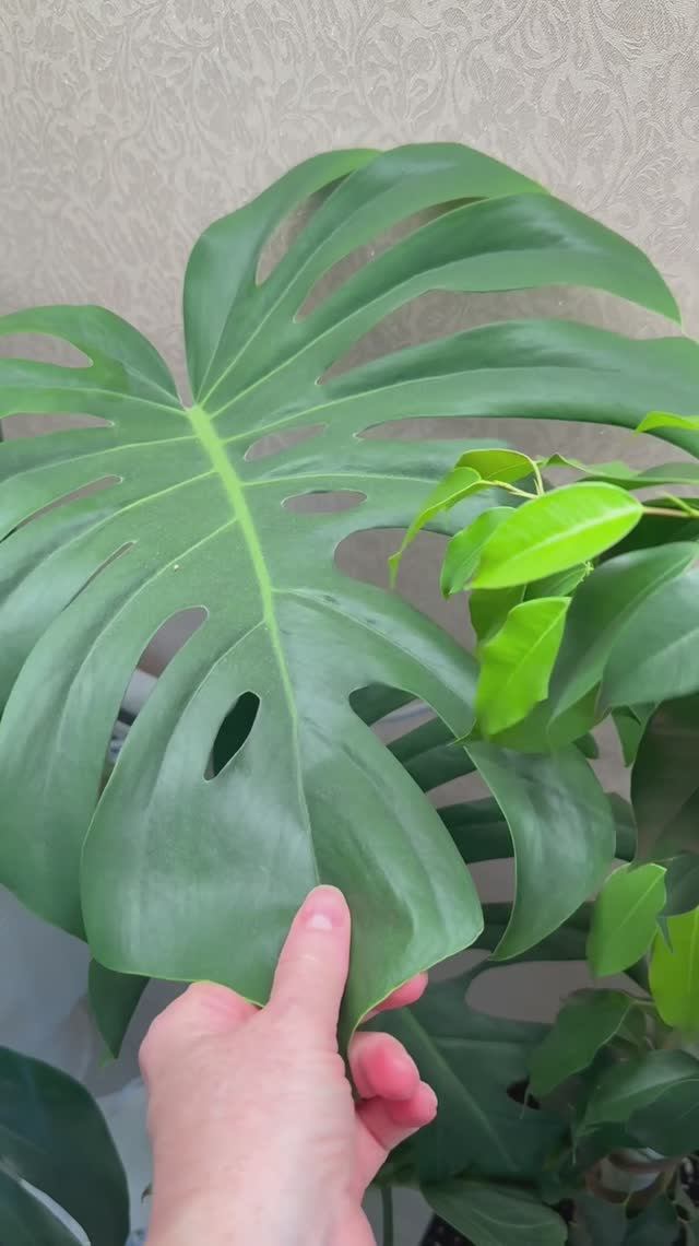 Доброе утро!💚