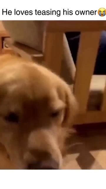 Ну не могу пройти мимо 😘))