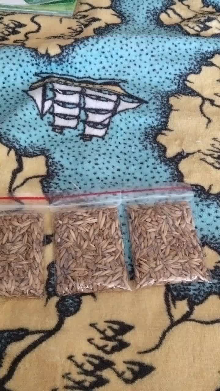 Еда для животных
