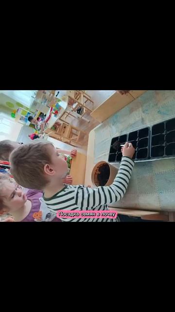 Проект 