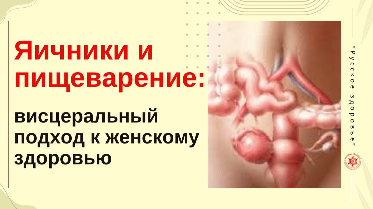 Яичники и пищеварение: висцеральный подход к женскому здоровью