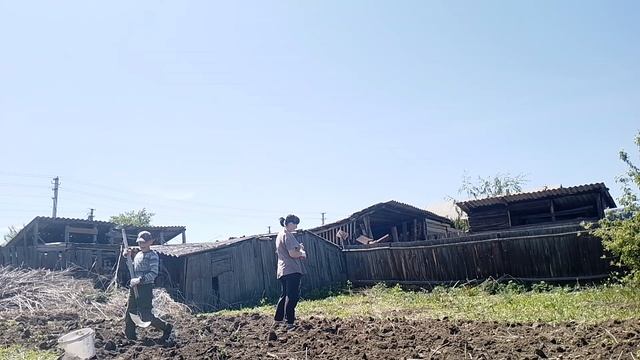 деревенские увлечения/ работаем с Данилом/ все равно трава растет, а так польза будет