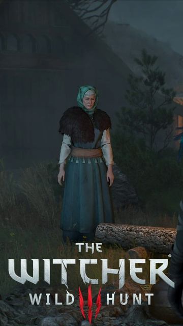 Цири мыла голову. Сарказм от Йеннифэр. Пропал человек. The Witcher 3 - Wild Hunt #shorts