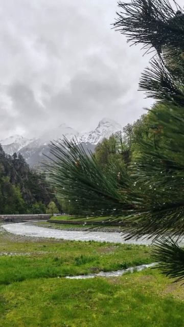 В Поляне после дождя🌧️😍
