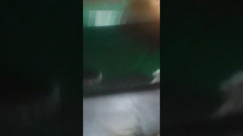 собака захватила мой канал продолжение 3