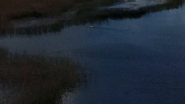 Изборская крепость, Труворово городище и озеро ледникового периода.