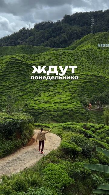 Почему 90% людей никогда не станут счастливыми? 👆🏼