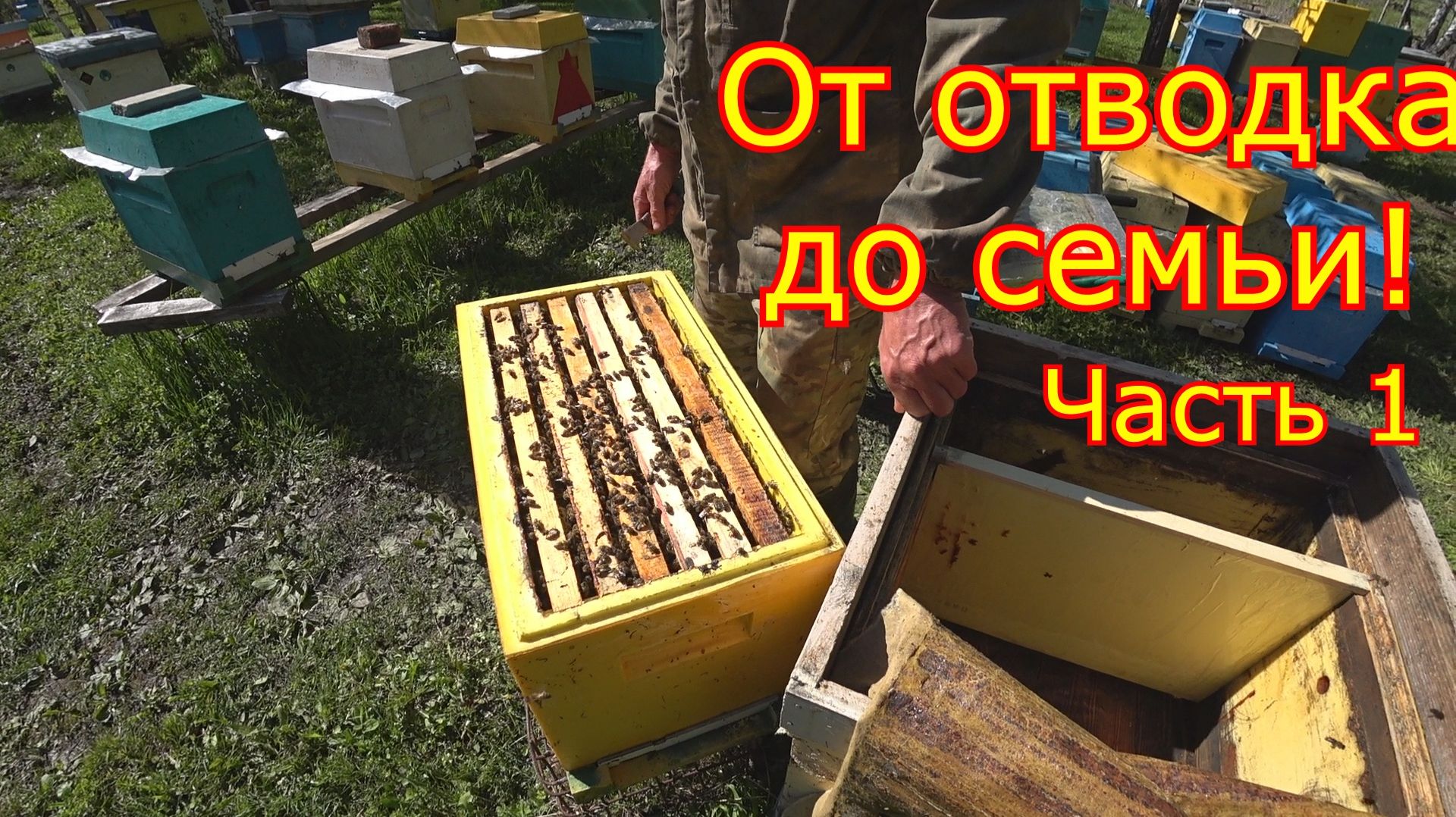 От ОТВОДКА До СЕМЬИ! часть1