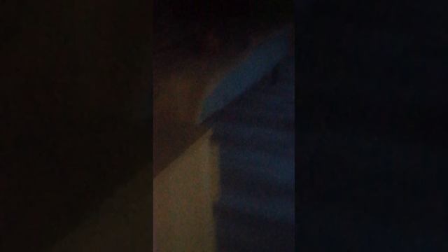 продолжение собака захватила мой канал часть 1