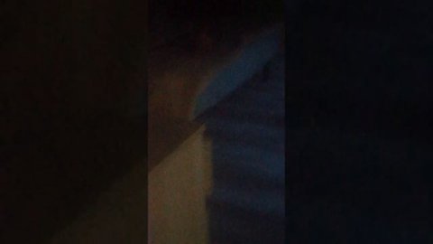 продолжение собака захватила мой канал часть 1