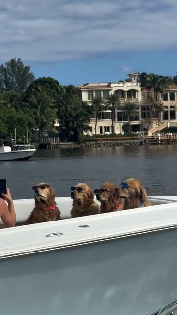 Жить хорошо, а хорошо жить ещё лучше😎!))