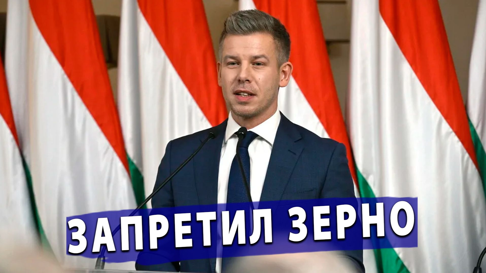 ⚡️ Мадьяр запретил зерно из Украины! И переходит к Румынскому газу