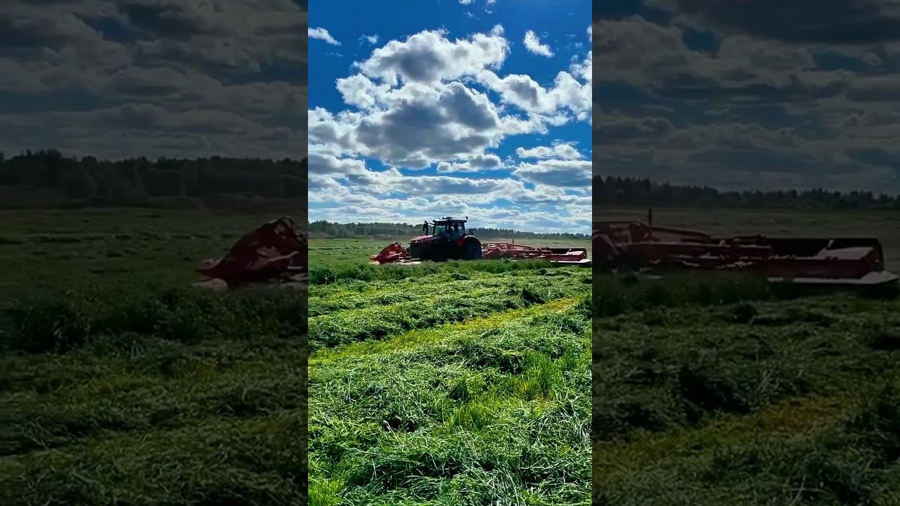 FC13460 #kuhn