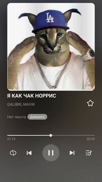 Песня Я КАК ЧАК НОРРИС GALIBRI, MAVIK.
