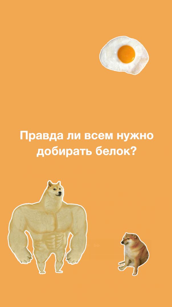 ВСЕМ НУЖНО ДОБИРАТЬ БЕЛОК? Правда, о которой молчат