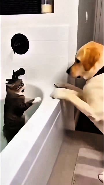 Водные процедуры
