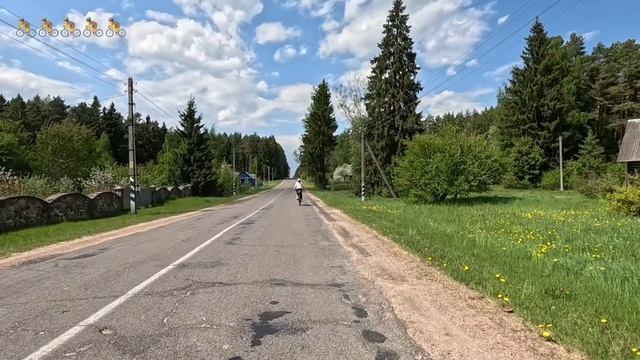Велосипед, солнце, асфальт часть 5 #ActiveVibesBelarus #Беларусь #природа #путешествие #вело