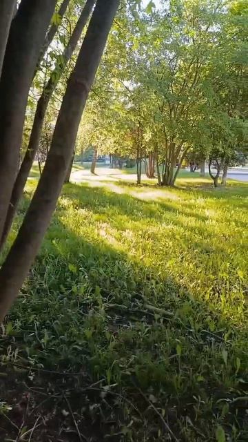 Вечереет...
Городская Зарисовка.