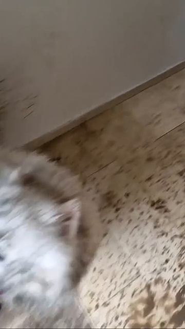 Не в дом же грязь нести 😆))