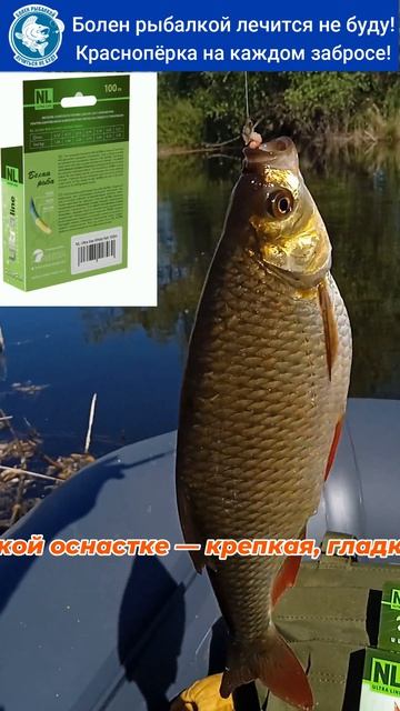 🎣🐟 Настоящее удовольствие от поплавочной рыбалки!  #рыбалка #fishing