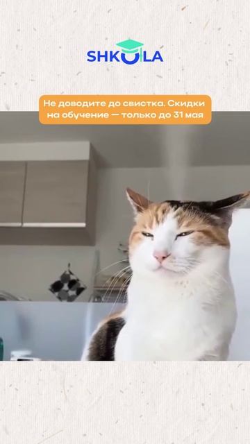 Повышение цен с 1 июня