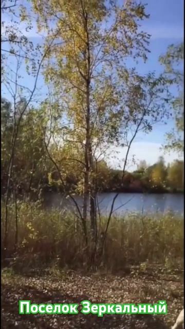 Красоты леса.