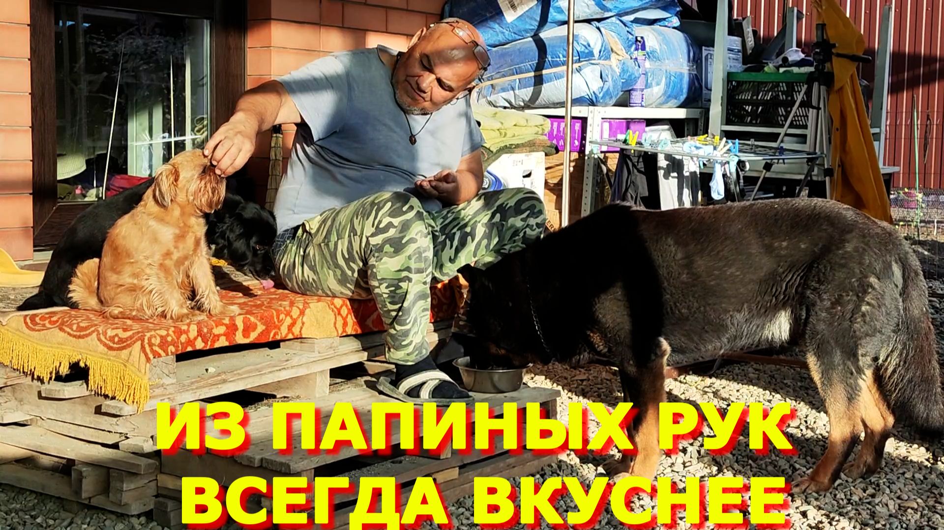 90. Переезд на Юг. Так вкуснее.