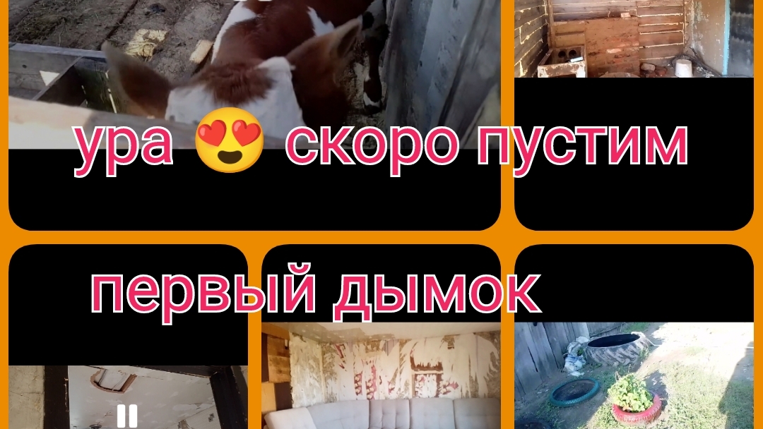 ложим печку/ ласточки в доме/ мебель/ ну и конечно же Миша/ звезда куда бы деться😁