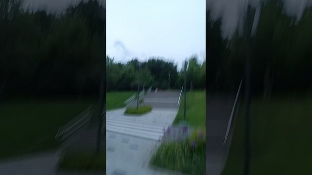 Вечерний Прогулки в Парке
