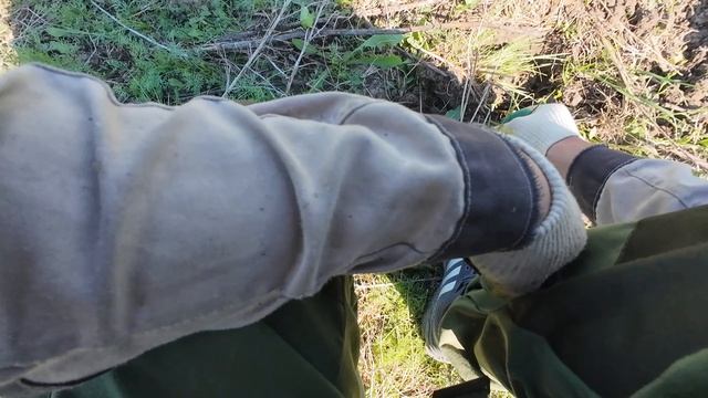 Поехали на старое место в поисках старины