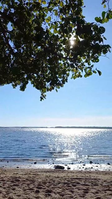 О море, море