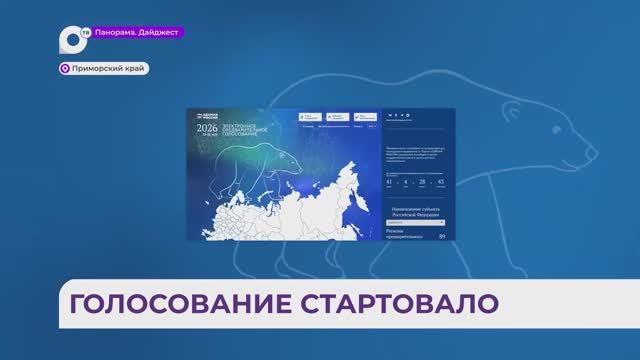 Предварительное голосование «Единой России» идёт в Приморье
