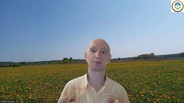 9. Каждый видит мир по-своему! Андрей Шевцов