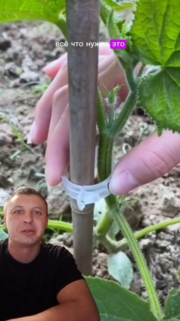 Клипсы для подвязки помидоров, огурцов