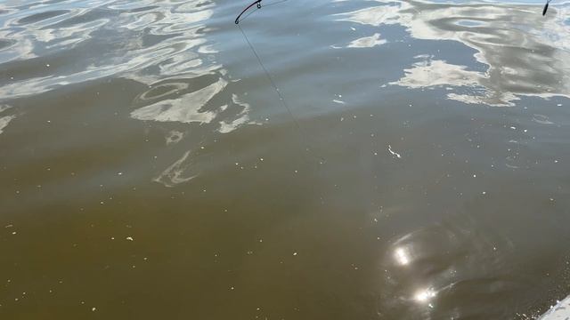 Рыбалка на щуку