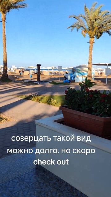 у моря