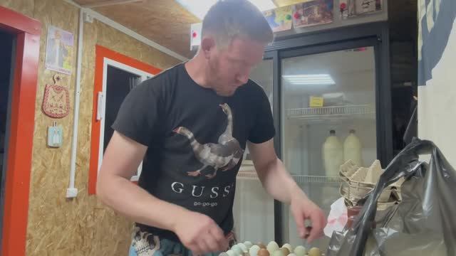 ОТПРАВИЛ ОДНИ ЯЙЦА, А ПОЛУЧИЛ ДРУГИЕ// КУРЫ ШВЕДСКИЙ БЛЮМЕН// ГУСИ ХОЛМОГОРЫ// КИЗИЛ В САРАТОВЕ 🍒